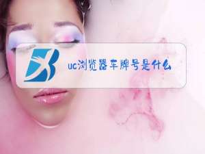 uc浏览器车牌号是什么梗