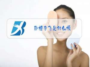 卧槽李飞是什么梗