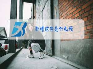 卧槽炫狗是什么梗