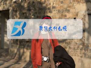 我很大什么梗