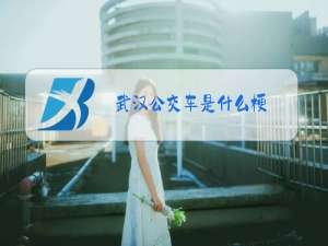 武汉公交车是什么梗