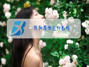 我和厚米是什么梗