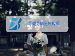 芜湖男酮是什么梗