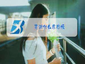 芜湖什么意思梗