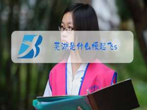 芜湖是什么梗起飞s