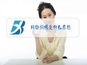 网络词梗是什么意思