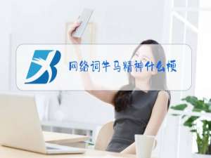 网络词牛马精神什么梗