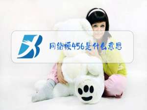 网络梗456是什么意思