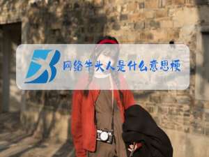 网络牛头人是什么意思梗