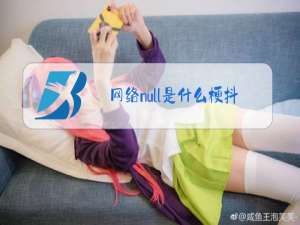 网络null是什么梗抖音