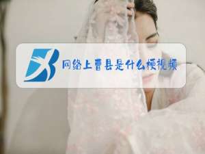 网络上曹县是什么梗视频