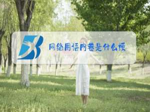 网络用语内卷是什么梗
