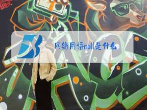网络用语null是什么梗