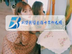 网络用语自爆卡车什么梗