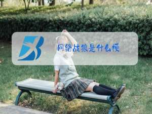 网络战狼是什么梗