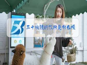 五千块钱的饮料是什么梗
