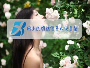 网上的切糕很多人说贵是什么梗