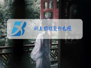 网上切糕是什么梗