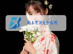 网上芜湖是什么梗