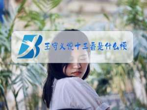 王守义说十三香是什么梗