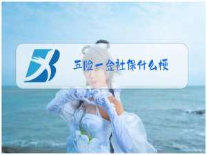 五险一金社保什么梗