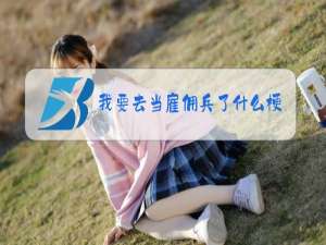 我要去当雇佣兵了什么梗