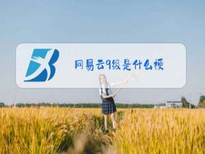 网易云9级是什么梗