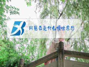 网易云是什么梗啥意思