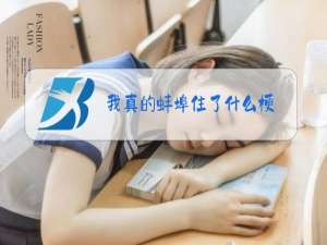 我真的蚌埠住了什么梗
