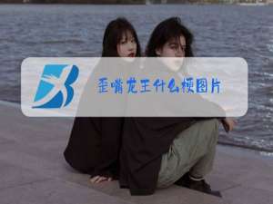 歪嘴龙王什么梗图片