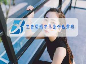 王者荣耀牛马是什么意思梗
