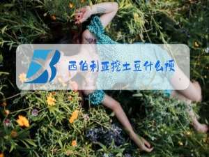 西伯利亚挖土豆什么梗