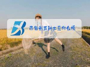 西伯利亚种土豆什么梗