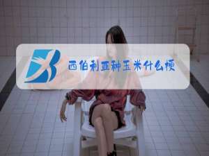 西伯利亚种玉米什么梗