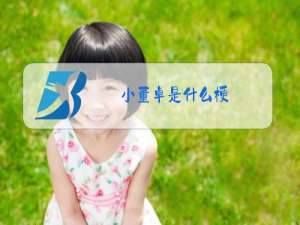小董卓是什么梗