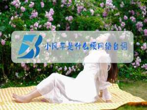 小风车是什么梗网络台词