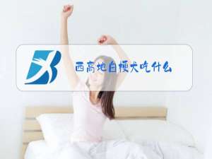 西高地白梗犬吃什么