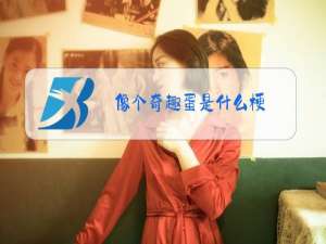 像个奇趣蛋是什么梗