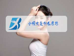 小梗犬是什么意思