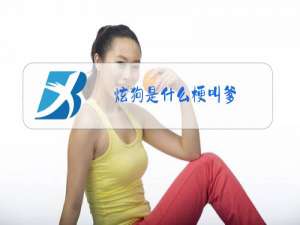 炫狗是什么梗叫爹