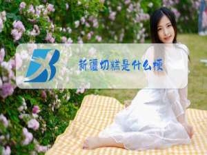 新疆切糕是什么梗?