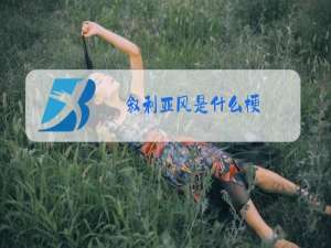叙利亚风是什么梗