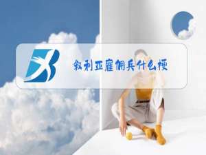 叙利亚雇佣兵什么梗