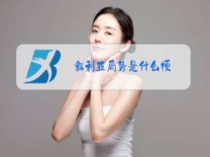 叙利亚局势是什么梗