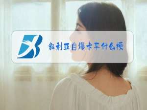 叙利亚自爆卡车什么梗