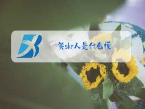 笑skr人是什么梗