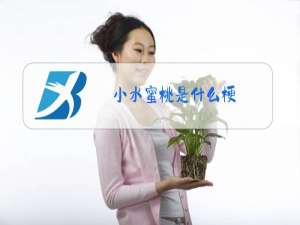小水蜜桃是什么梗