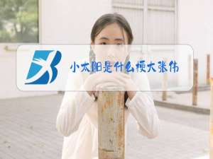 小太阳是什么梗大张伟