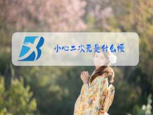 小心二次元是什么梗