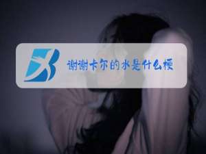谢谢卡尔的水是什么梗